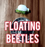 Floating Beetles (2 per pack)